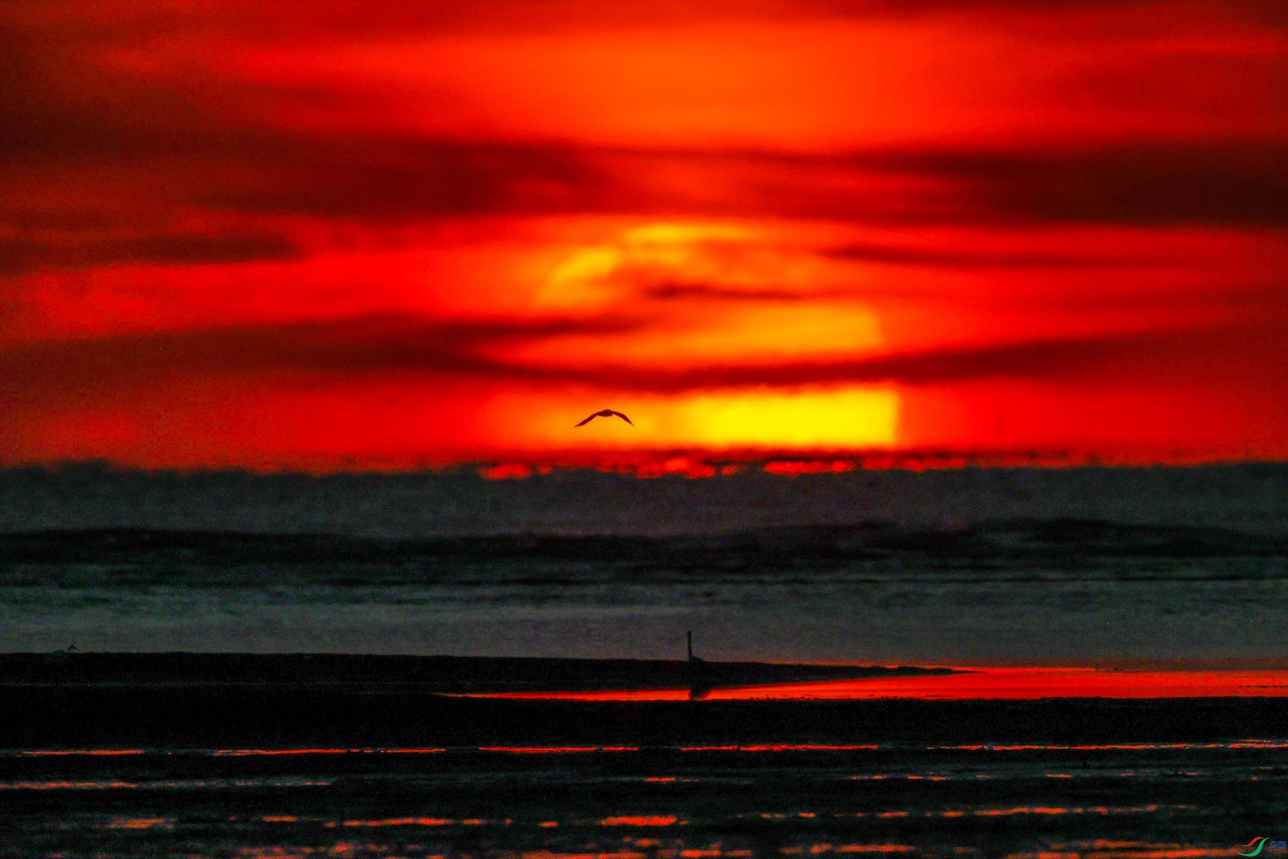 �ճ�����5 ����.jpg