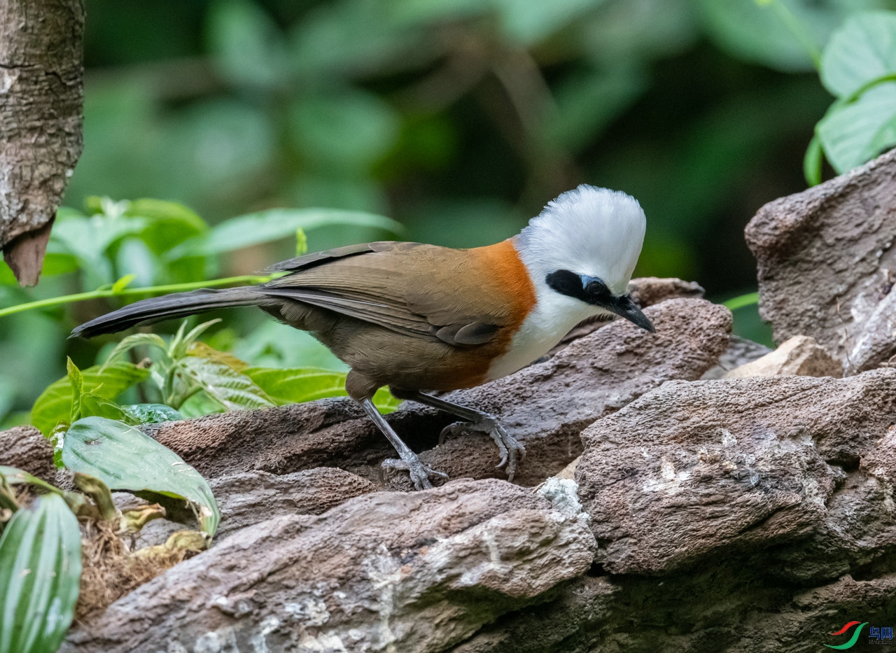 DSC_7580.jpg
