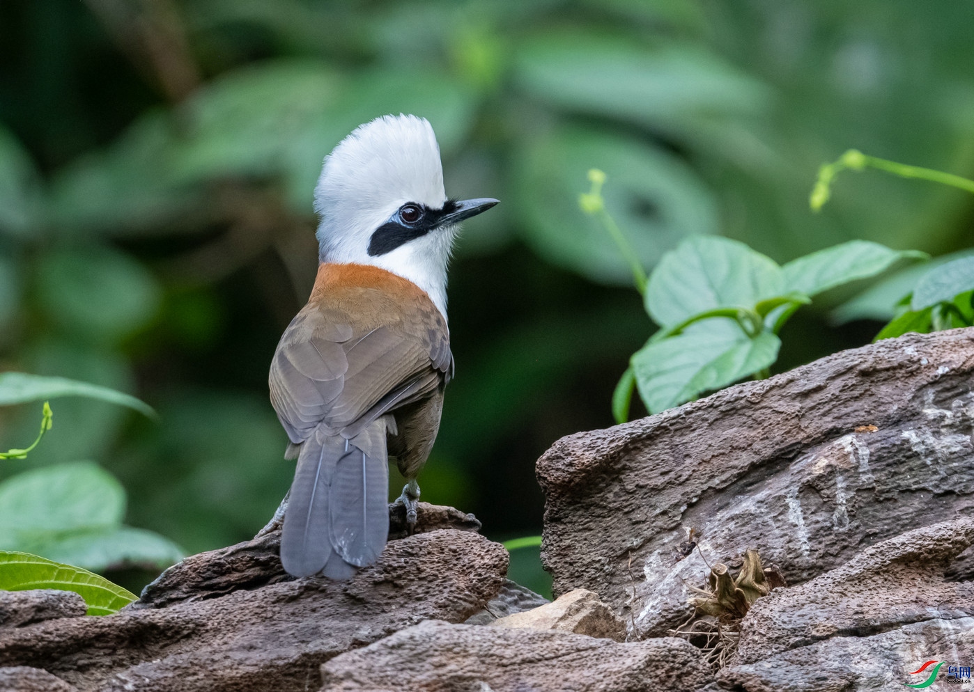 DSC_7583.jpg
