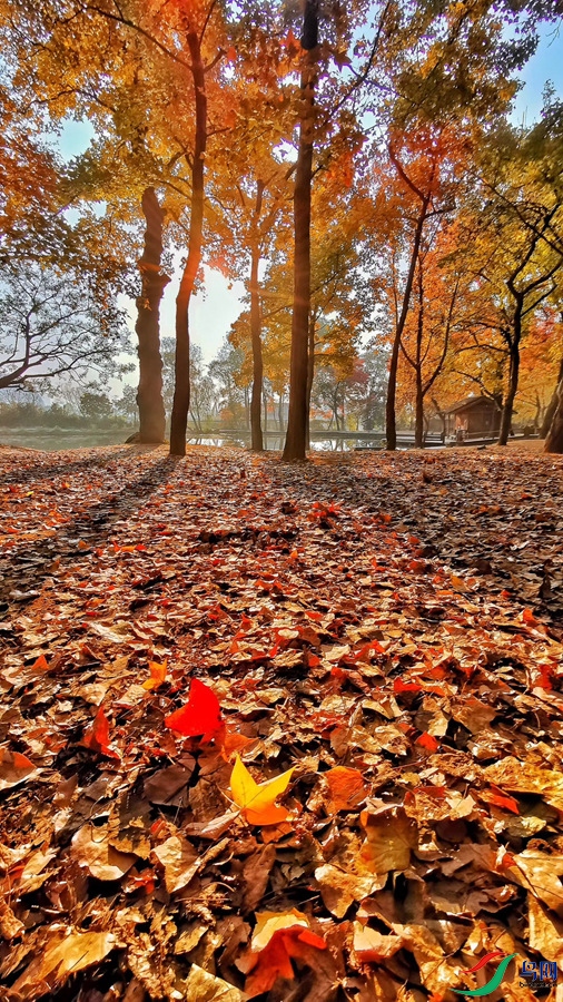 ��ƽɽ7.jpg
