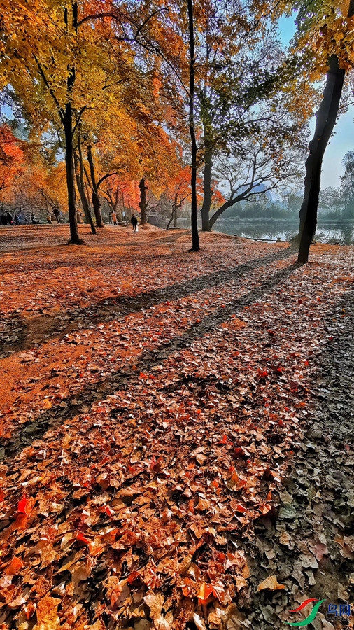��ƽɽ6.jpg