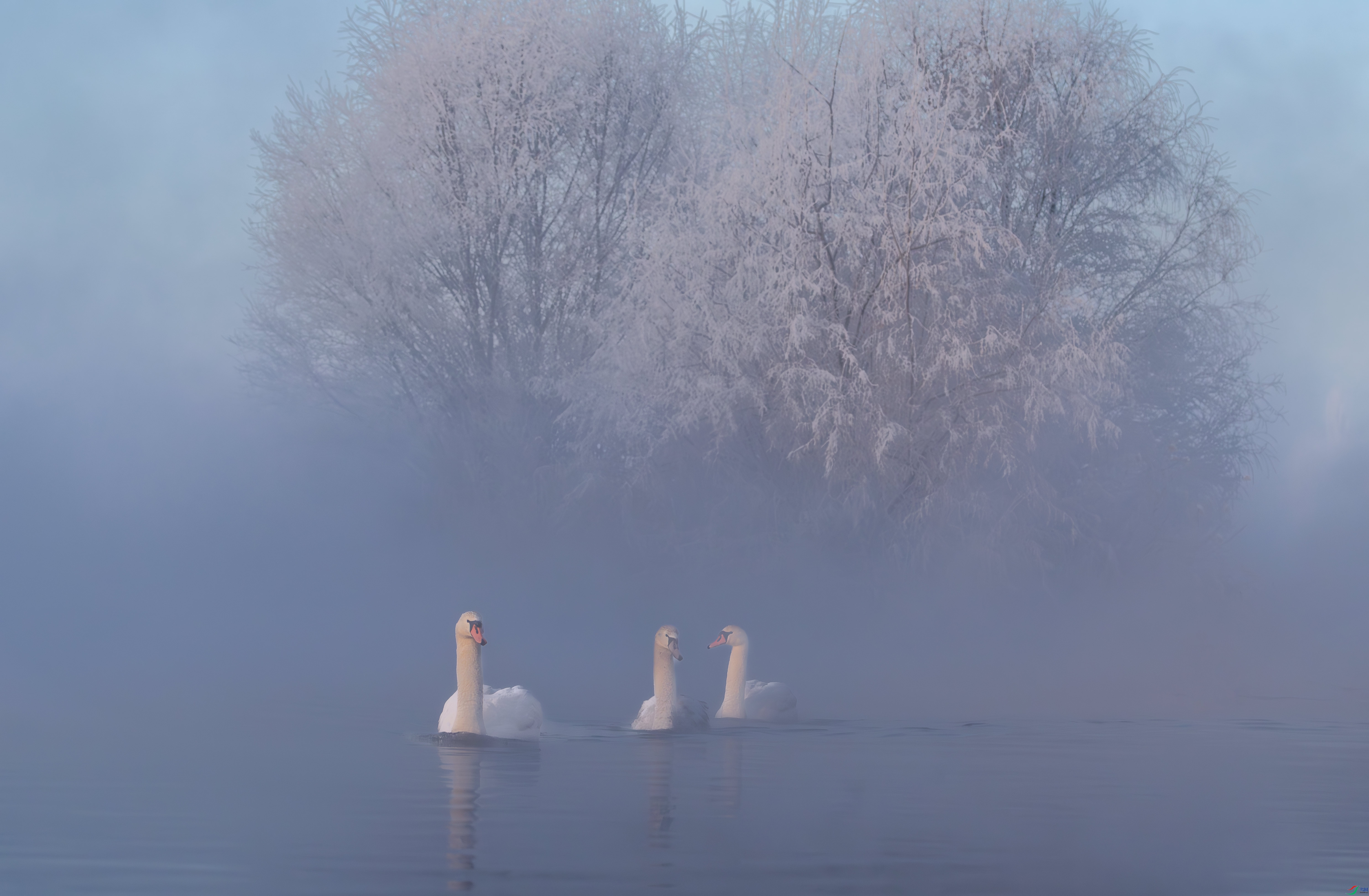0D7A6447-����ǿ-NR.jpg