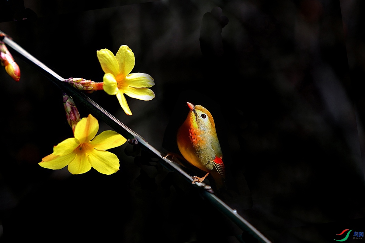 IMG_2338 ��ѹ����.jpg