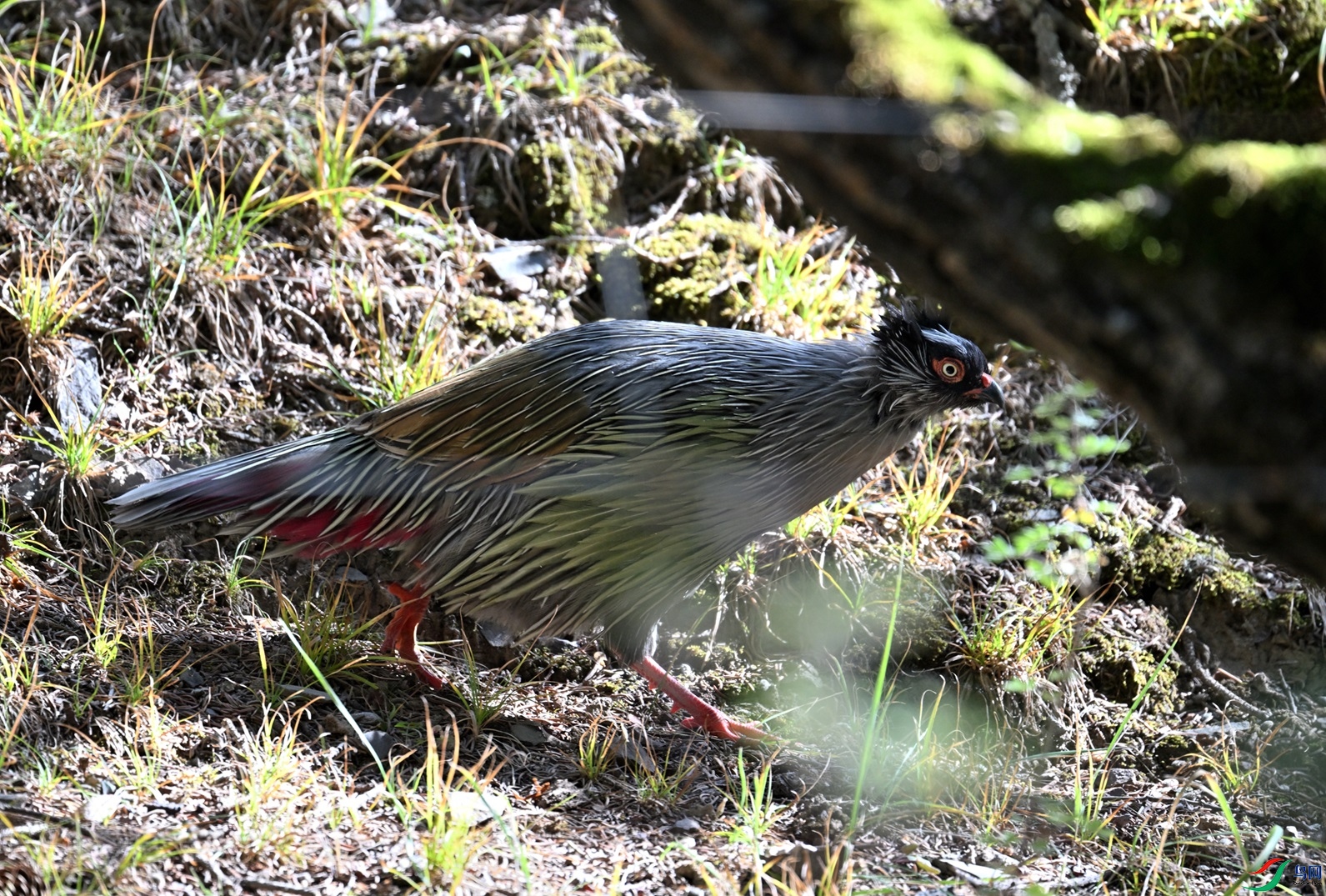 DSC_9876.JPG