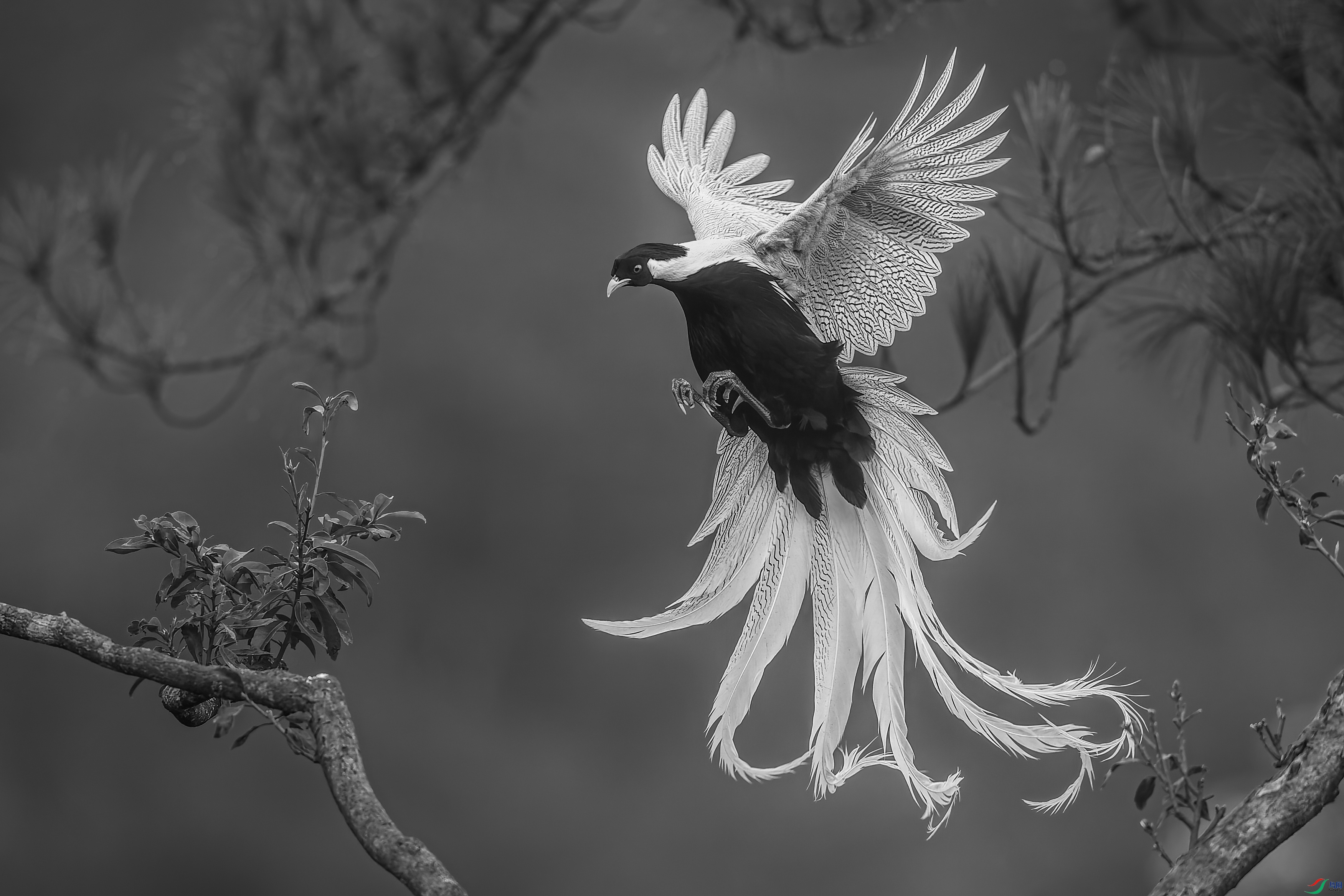 �ļ��� ����ƮƮ ��Ұ�Ÿ�.jpg