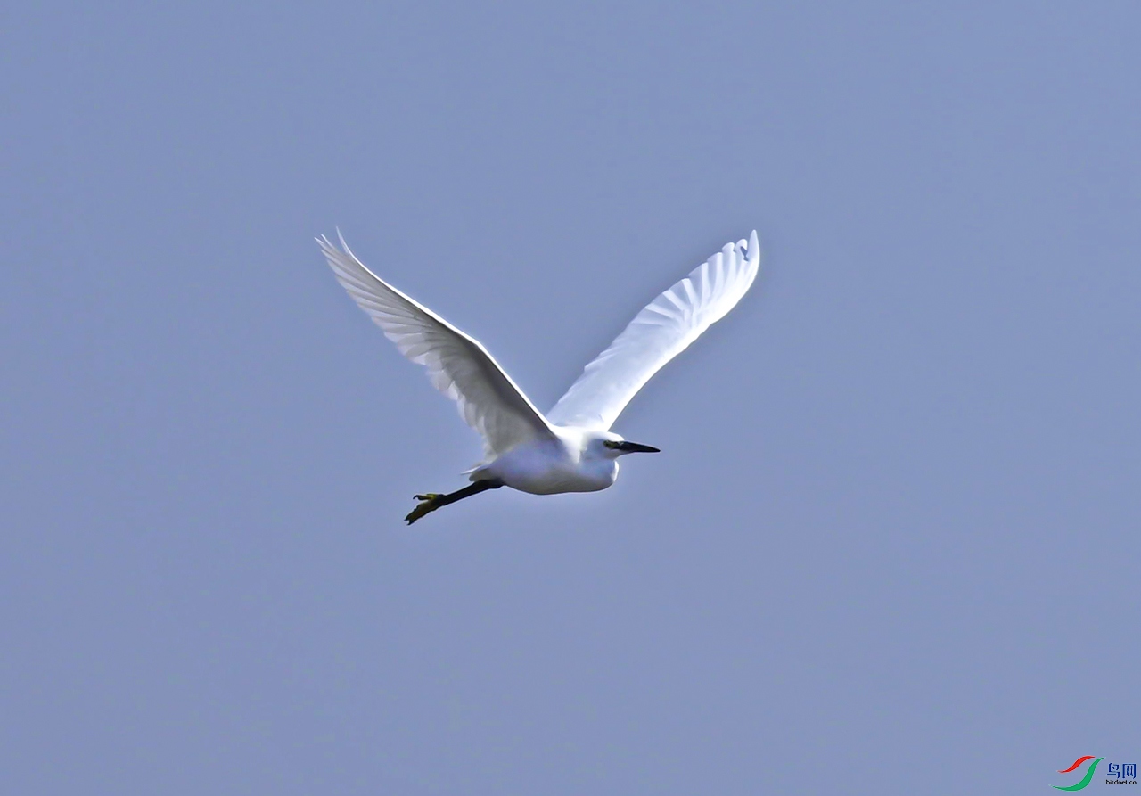 _DSC7396f.jpg