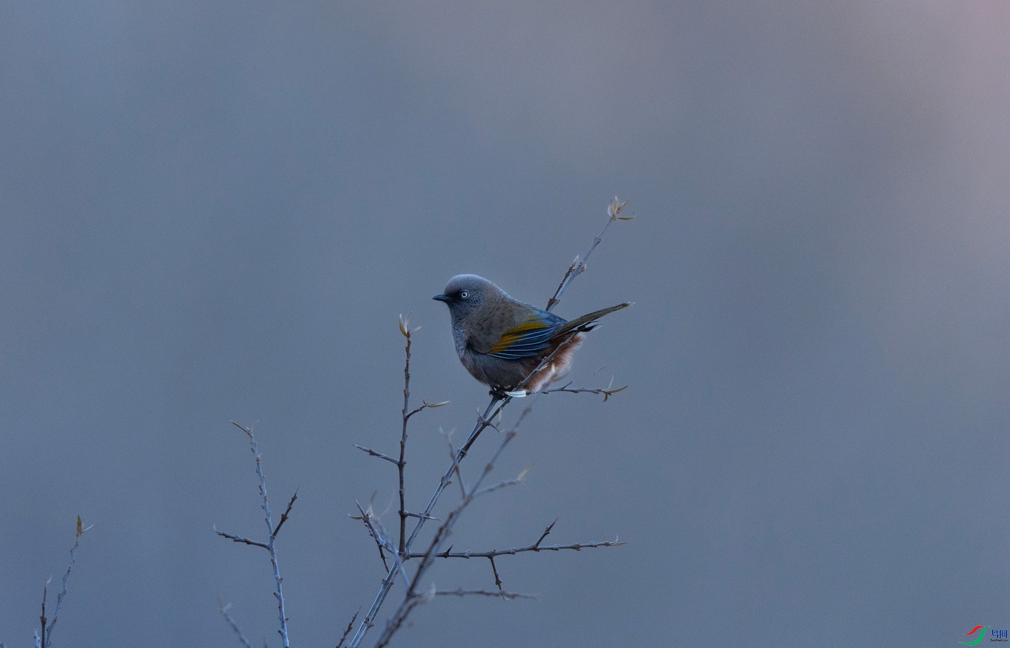 _X5A7379 - ����.jpg