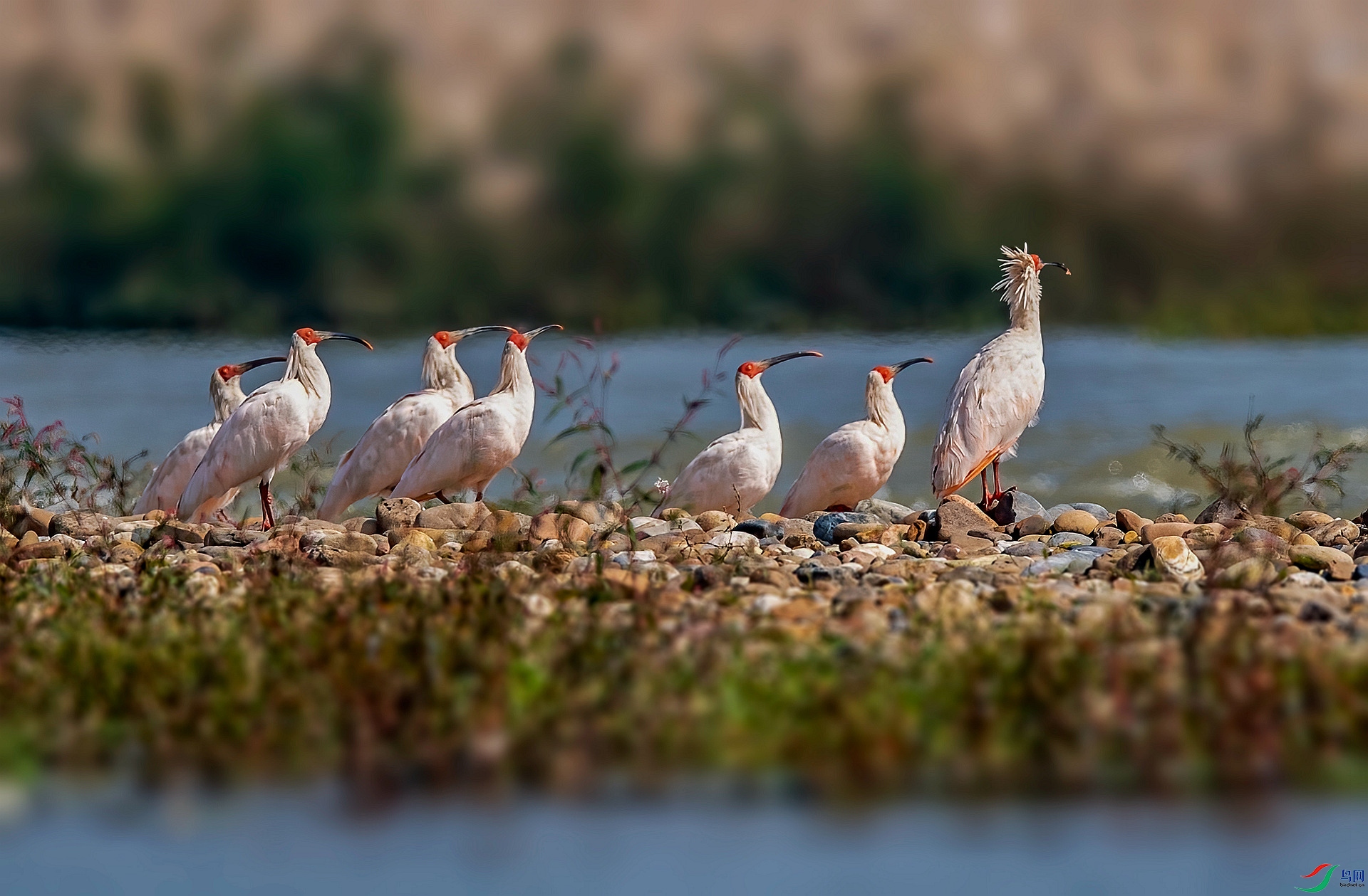 DSC_8125 ����_����.jpg