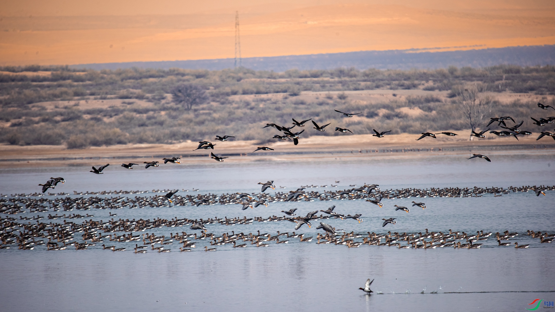 �����輯 ������Ӿ��һ��