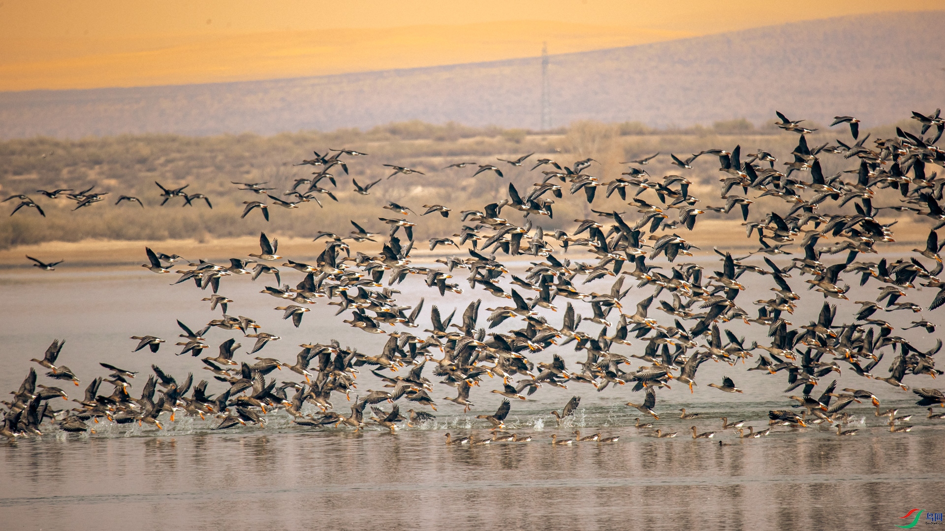 �����輯 ������Ӿ������