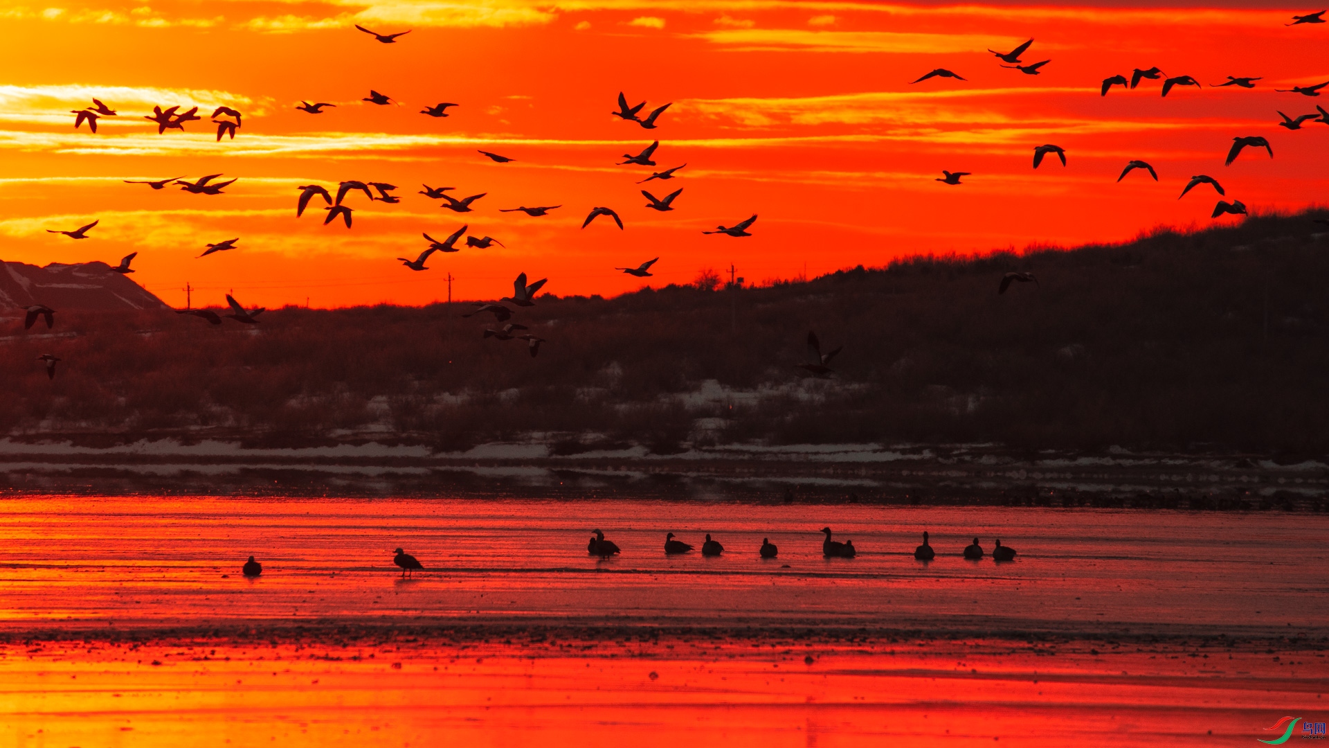 ��Ӱ��� ��軥�𣨶���