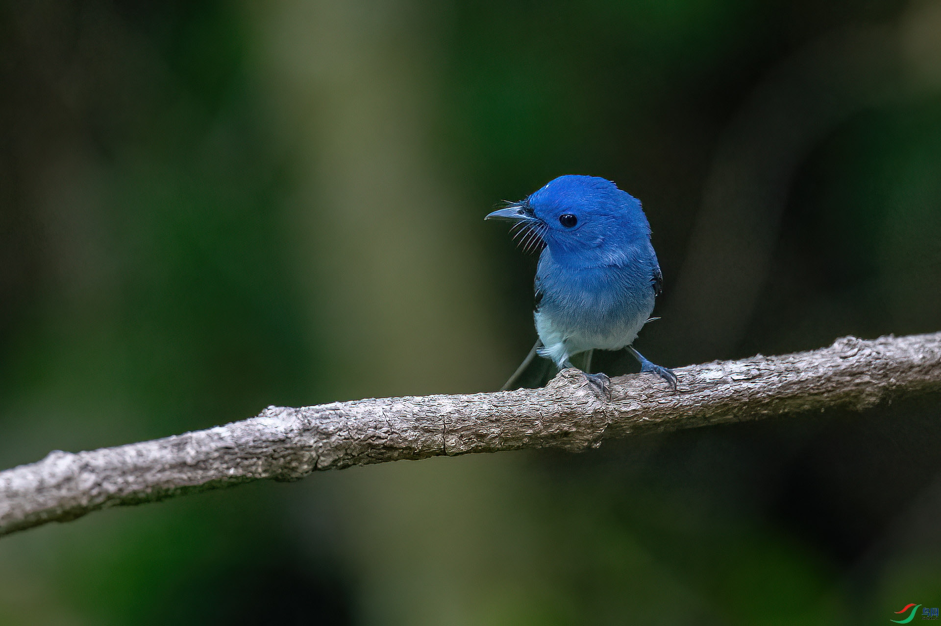 DSC_0774.jpg
