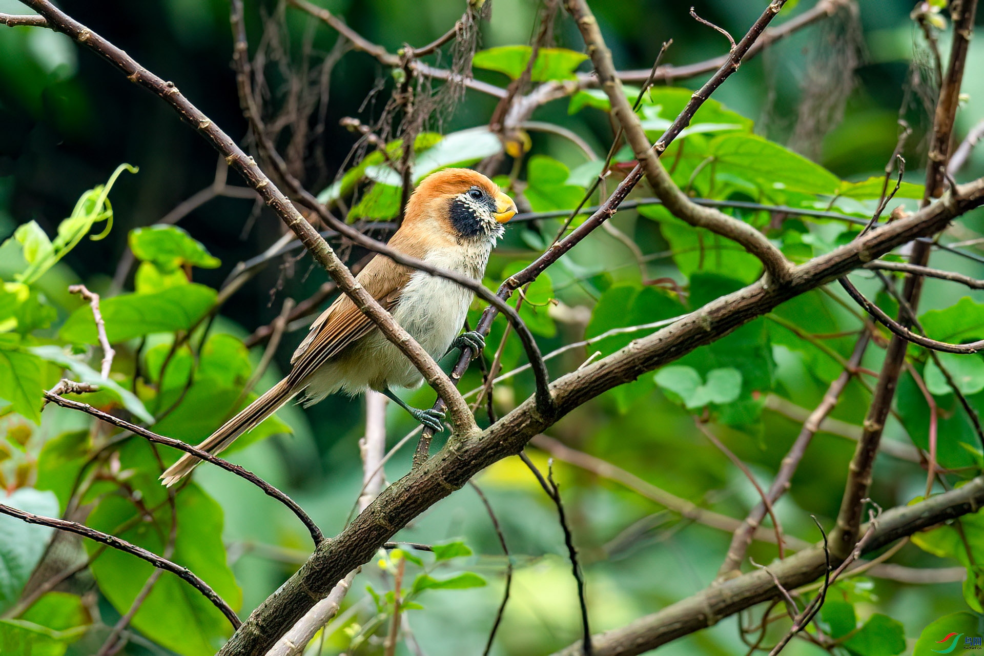 DSC_8170.jpg