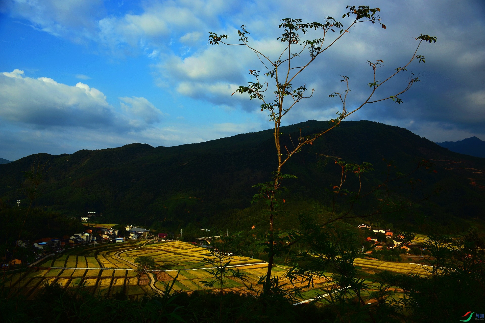 D8I_3366.jpg