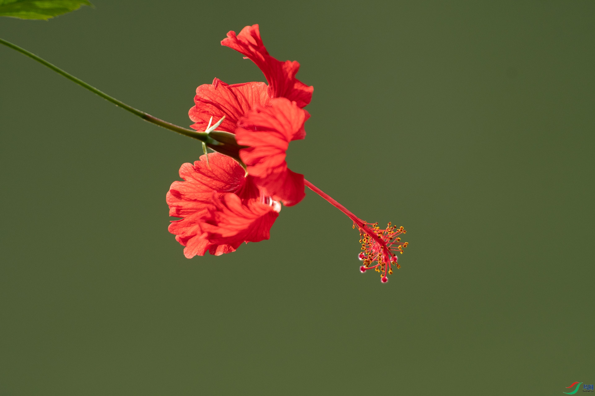 _DSC2340-1.jpg