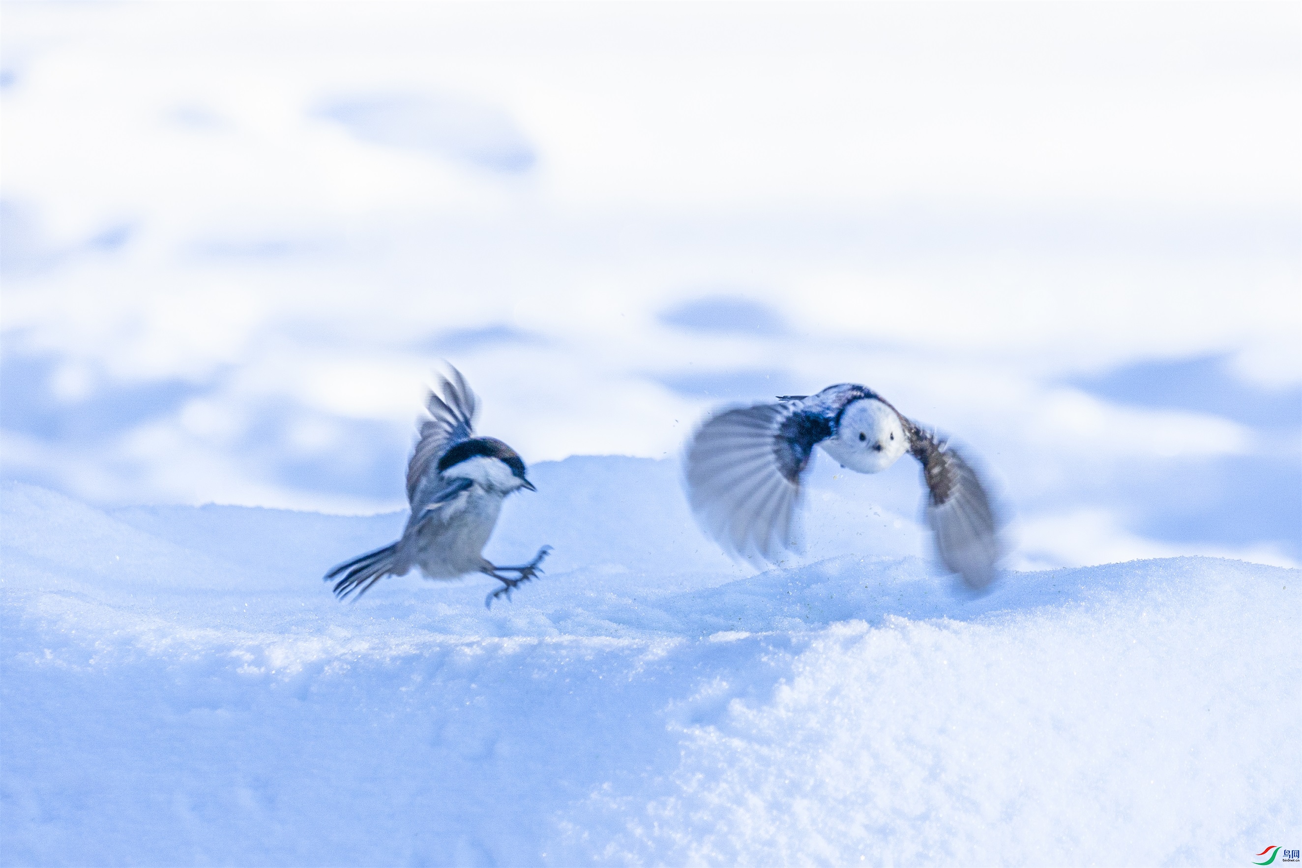 1K3A6049 ����1.jpg