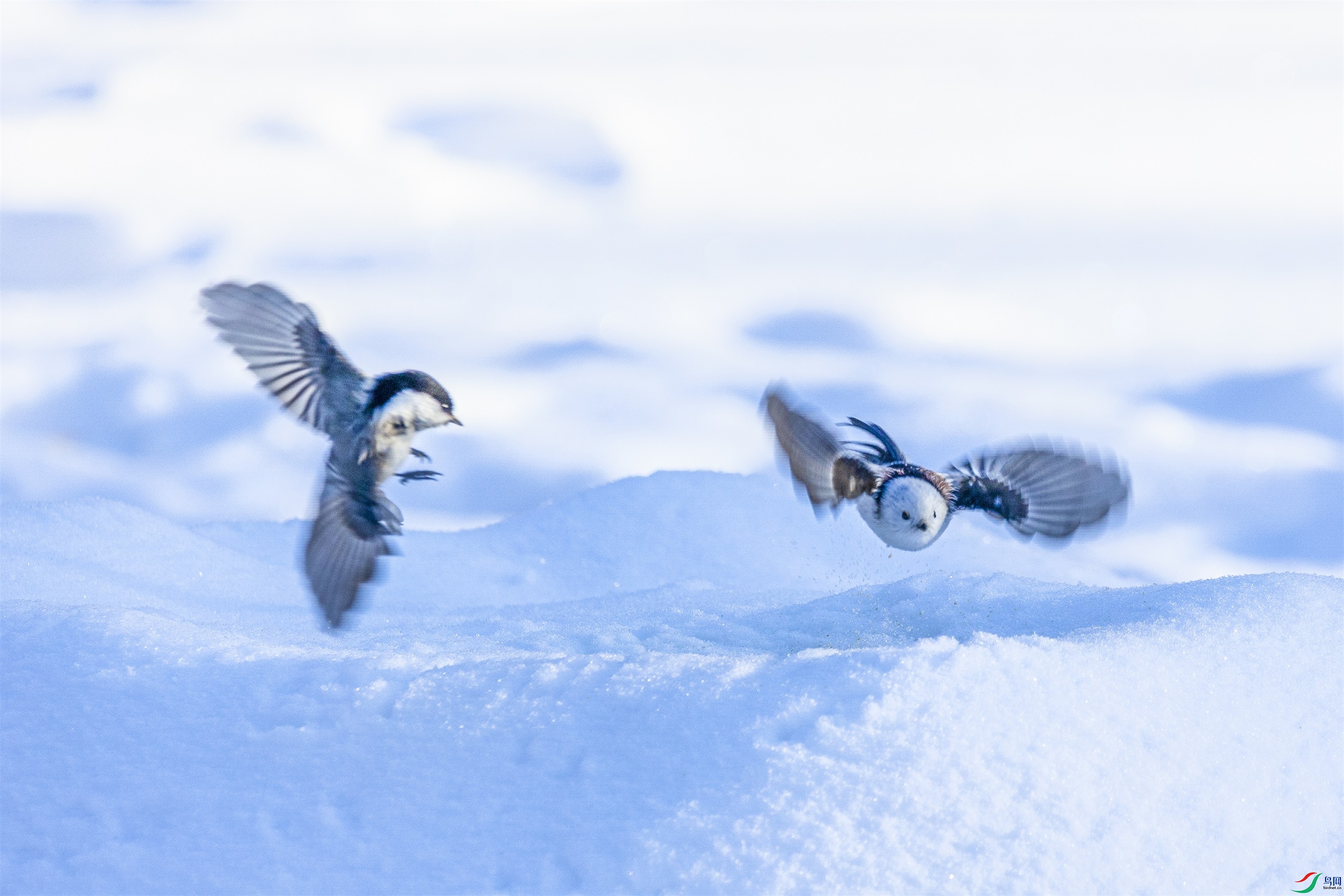 1K3A6048 ����1.jpg