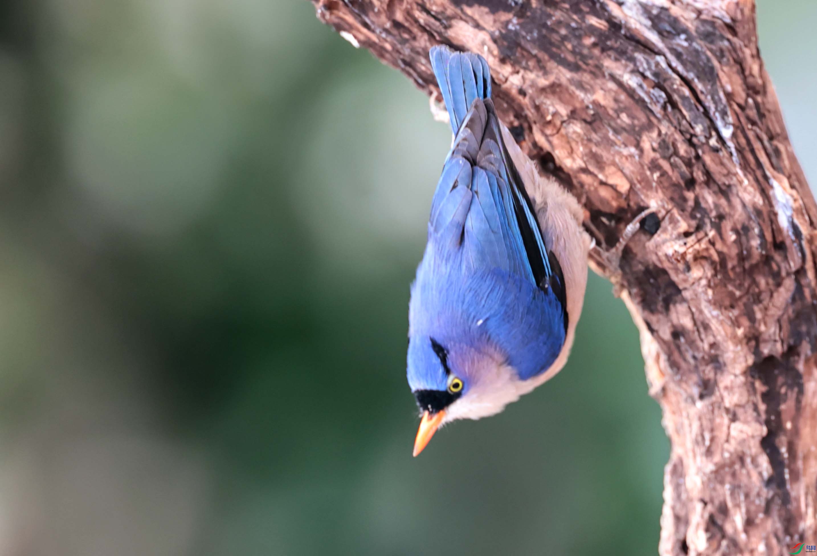 �ض��[��׼�� ����.jpg