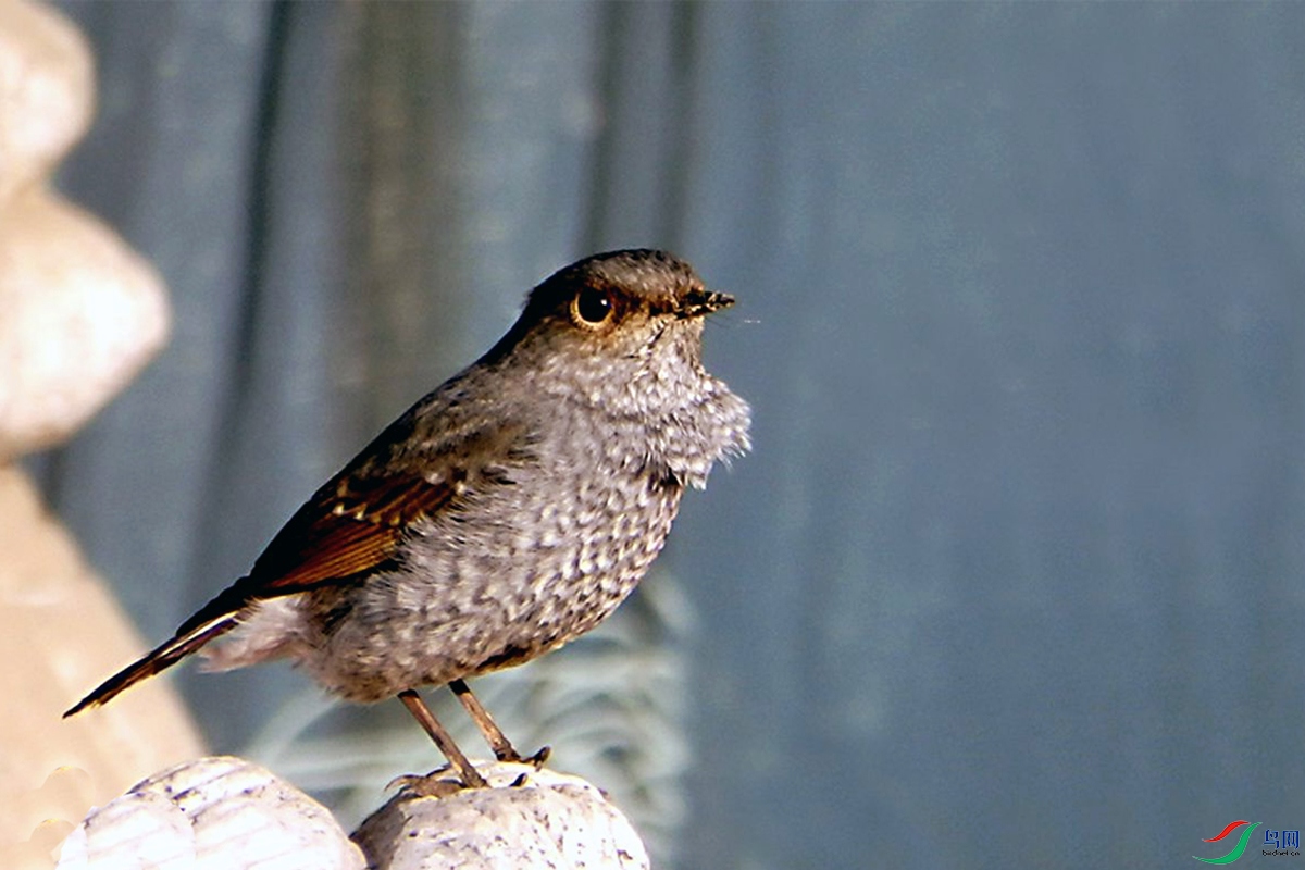 IMG_2408 ��ѹ����.jpg