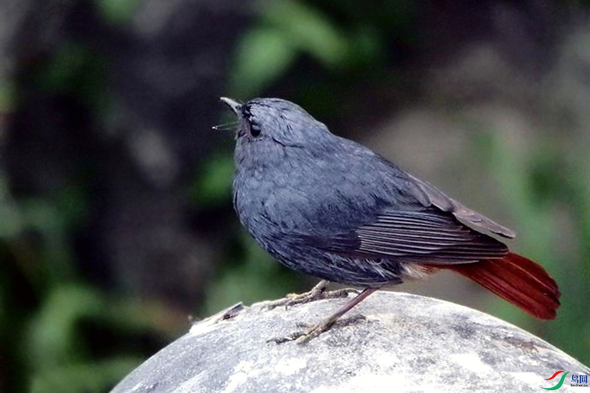 IMG_2409 ��ѹ����.jpg