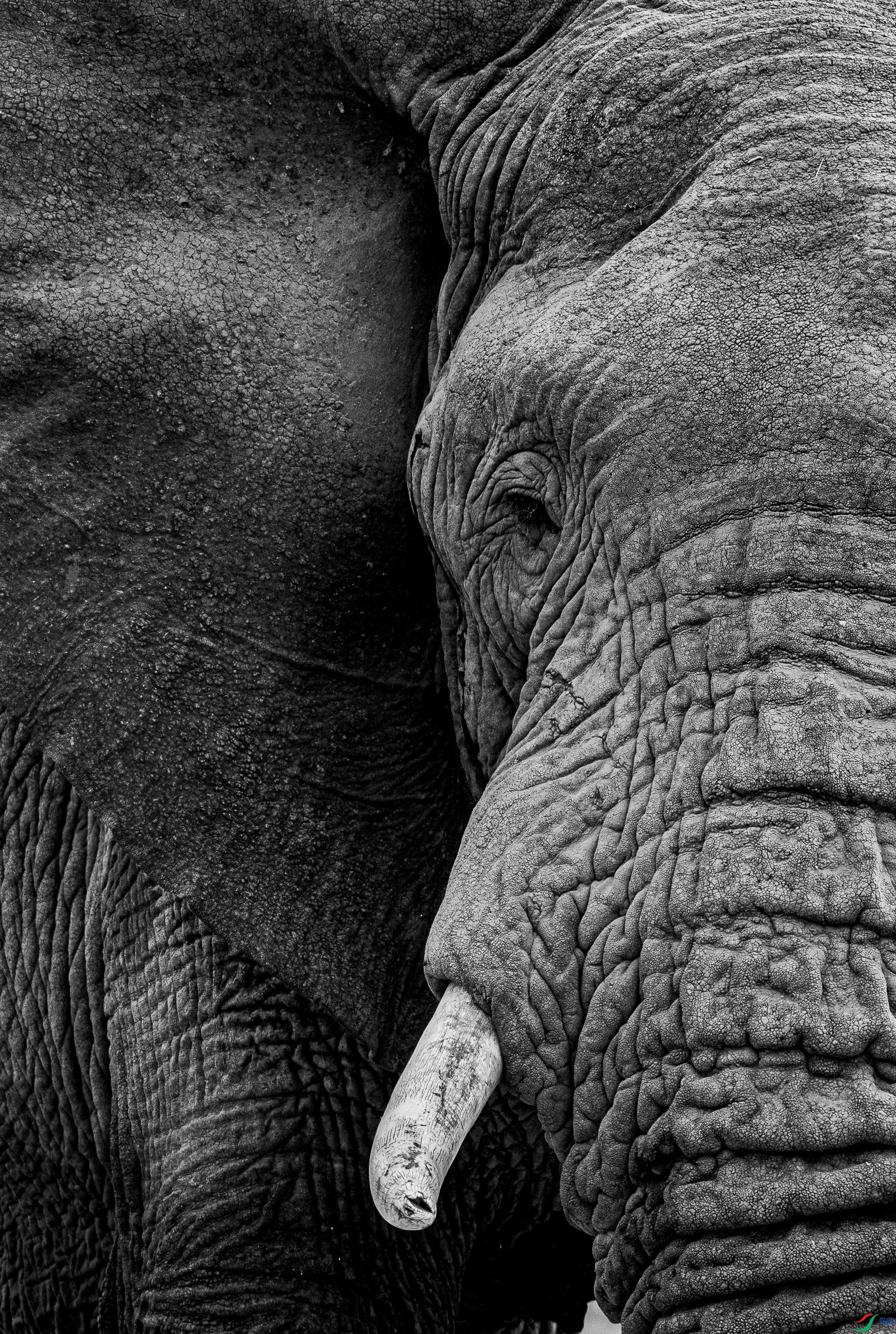 ��������۾�͸�������Ŀ�⣬�ƺ��ܿ������ϵ�һ�С�