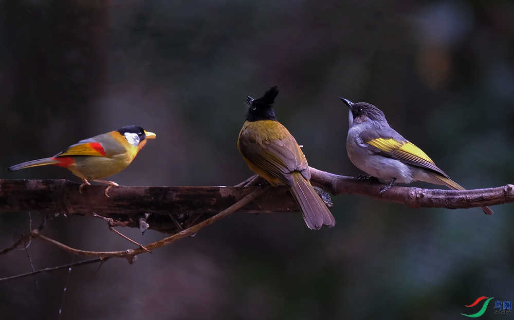 DSCF9156.1.jpg