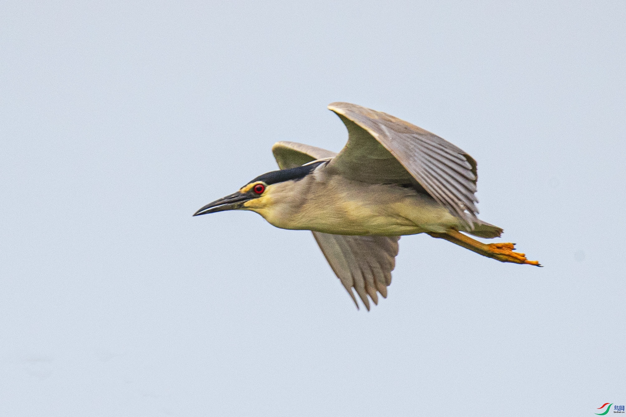 _90I0259 ����.jpg