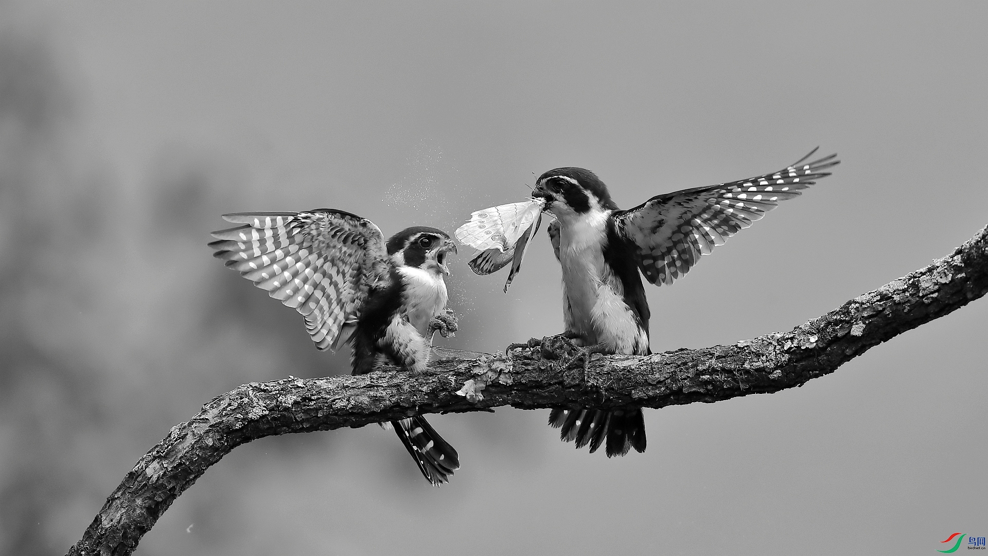 �ļ��� �����ɳ� ��Ұ�Ÿ�.jpg