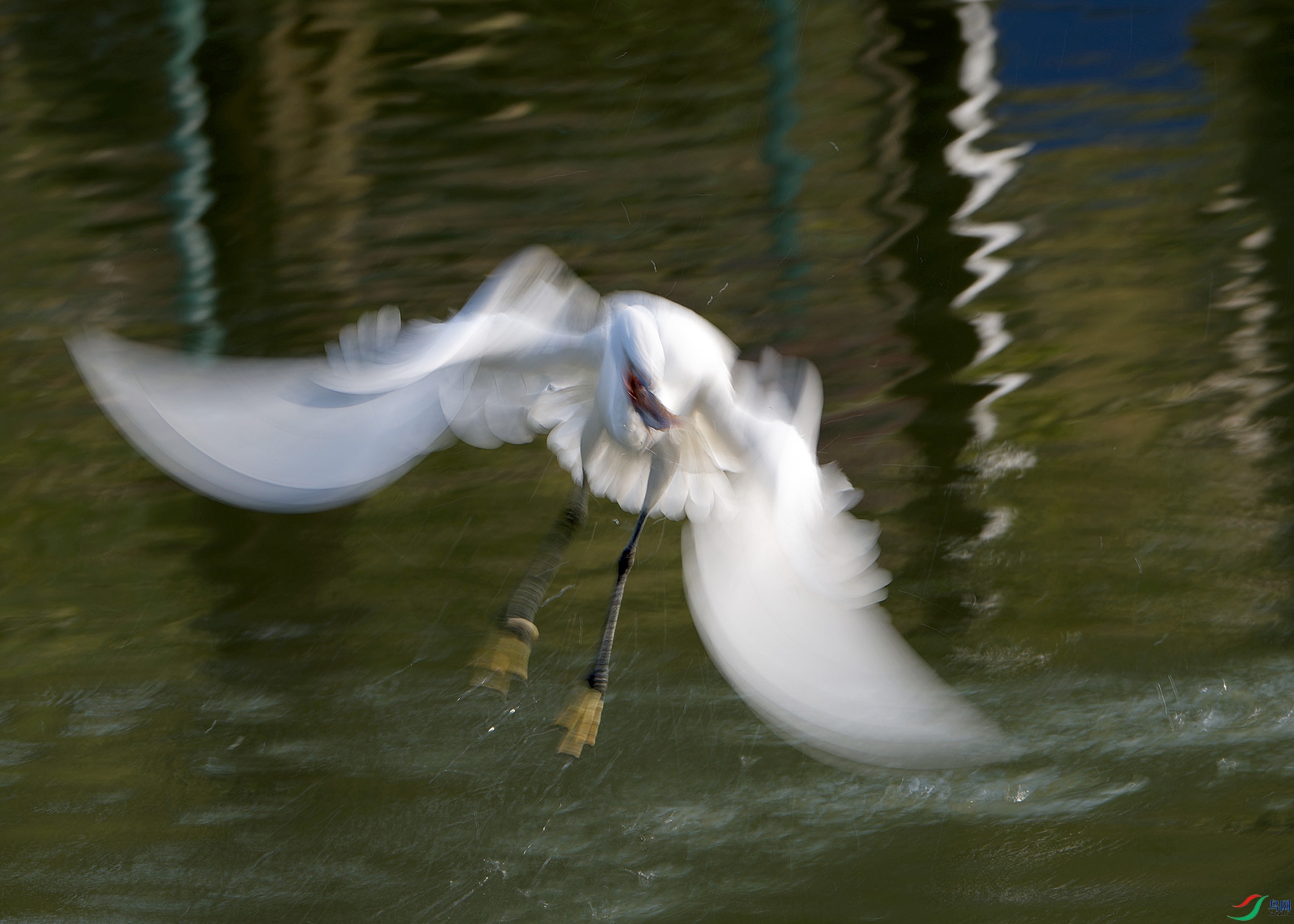 DSC_2665.jpg