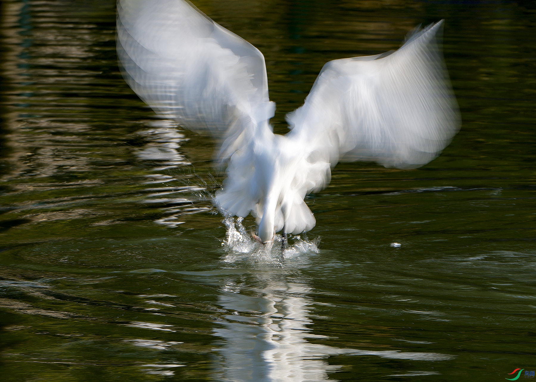 DSC_2771.jpg