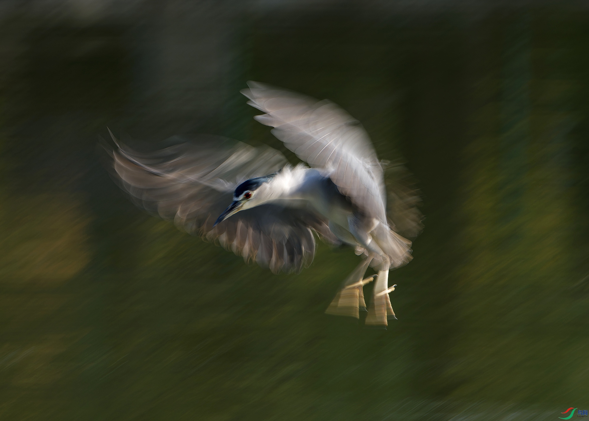 DSC_2853.jpg
