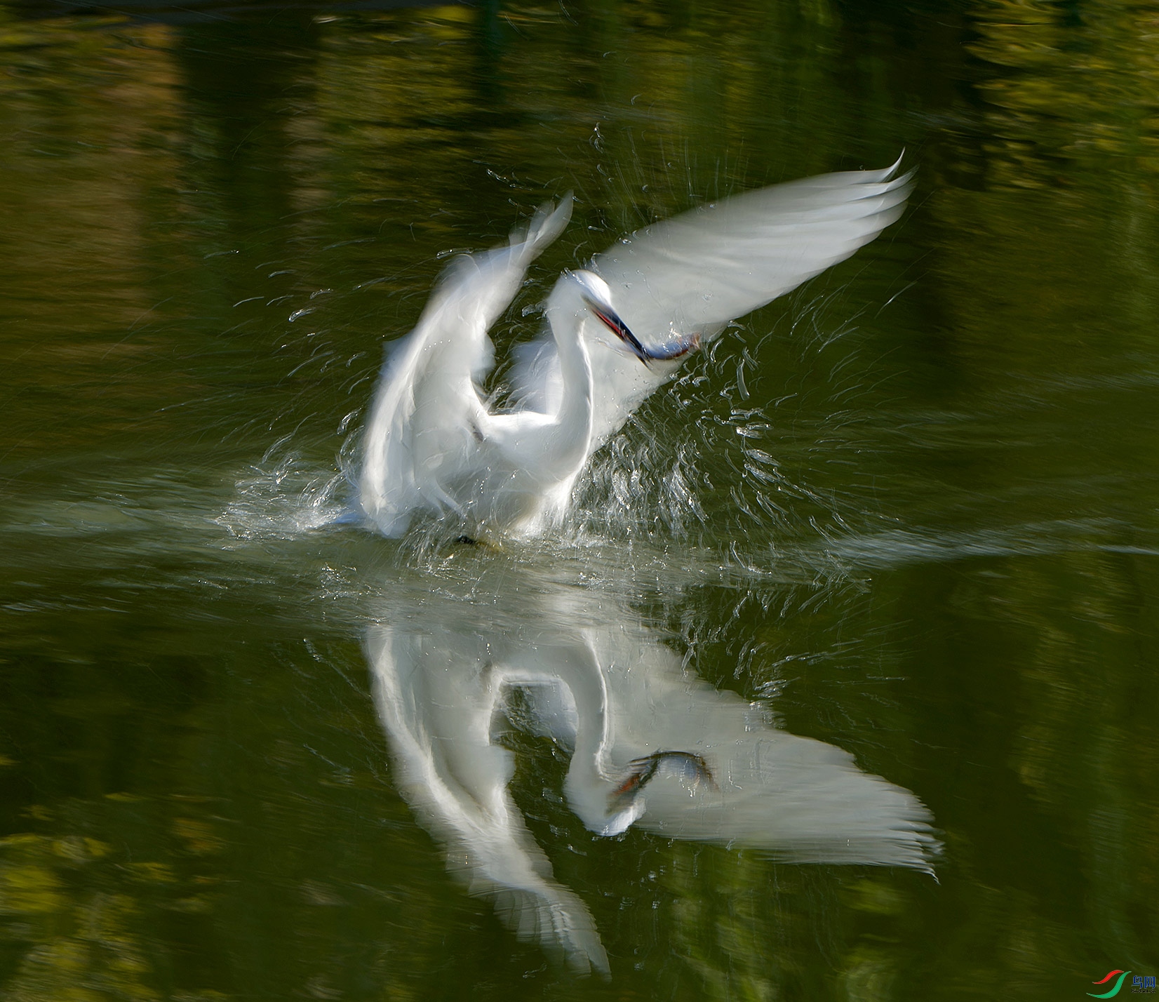 DSC_3137.jpg