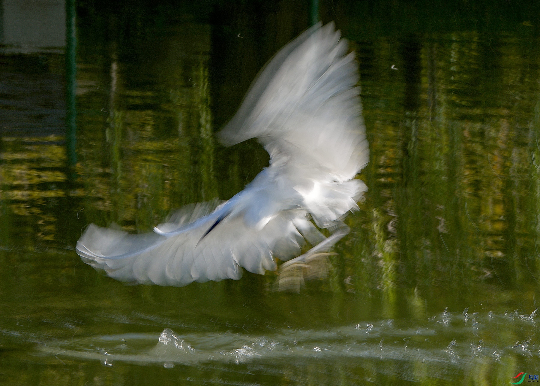 DSC_3180.jpg