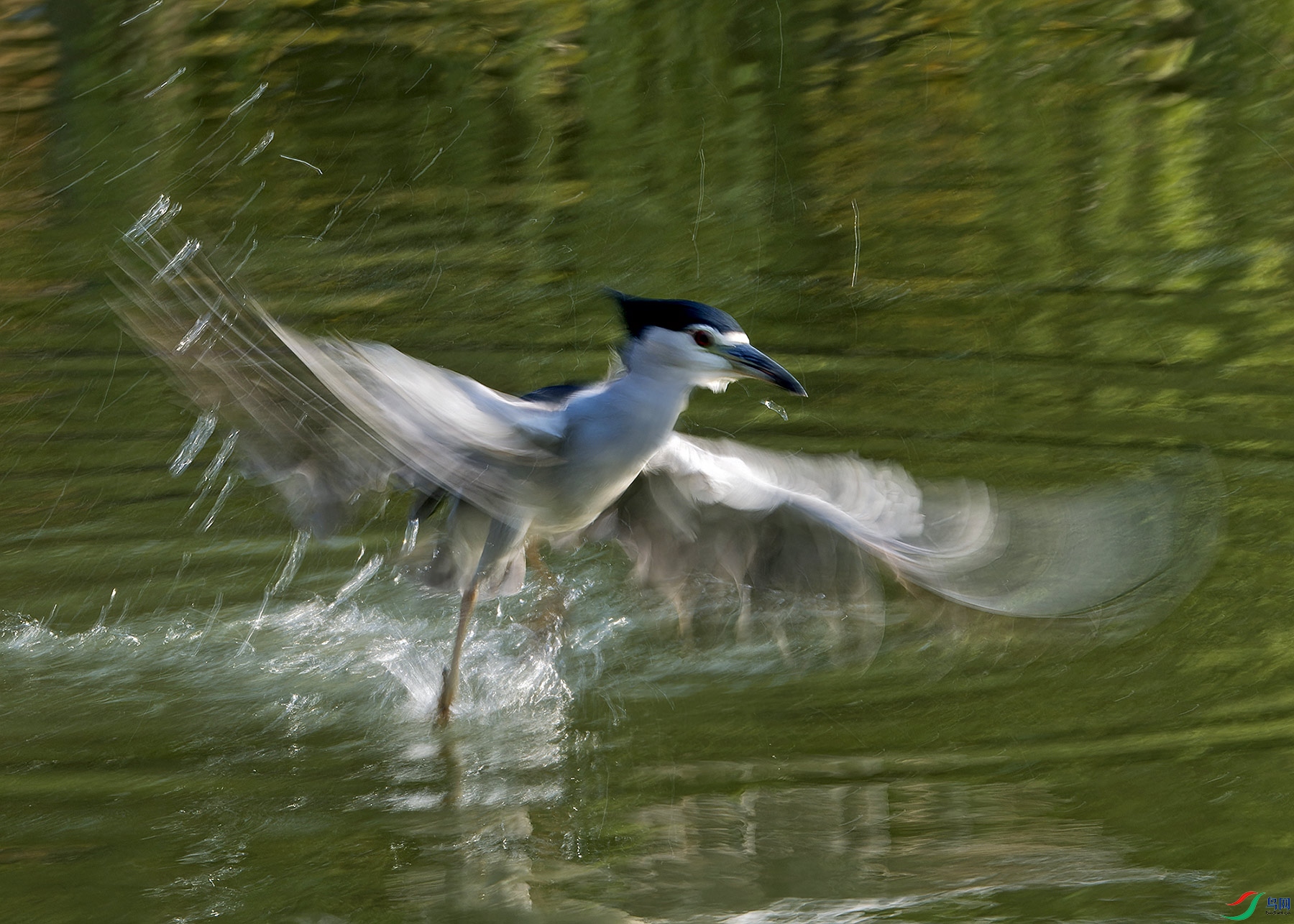 DSC_3459.jpg
