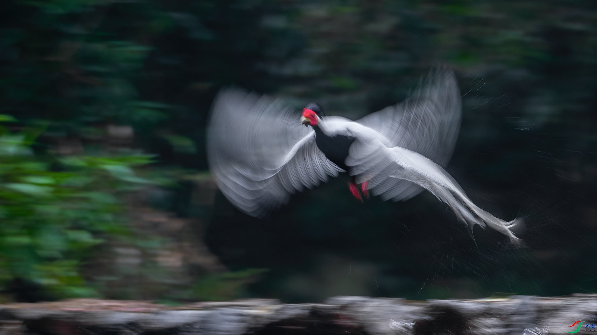 DSC_4106-1.jpg
