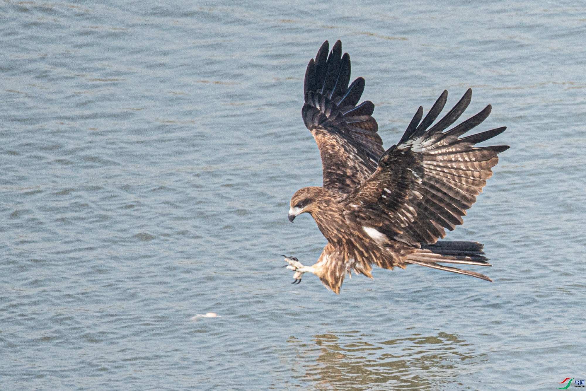 DSC_9622.jpg