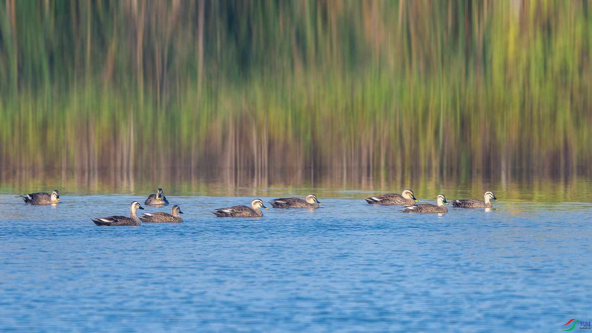 _DSC9917-����ǿ-NR ����.jpg