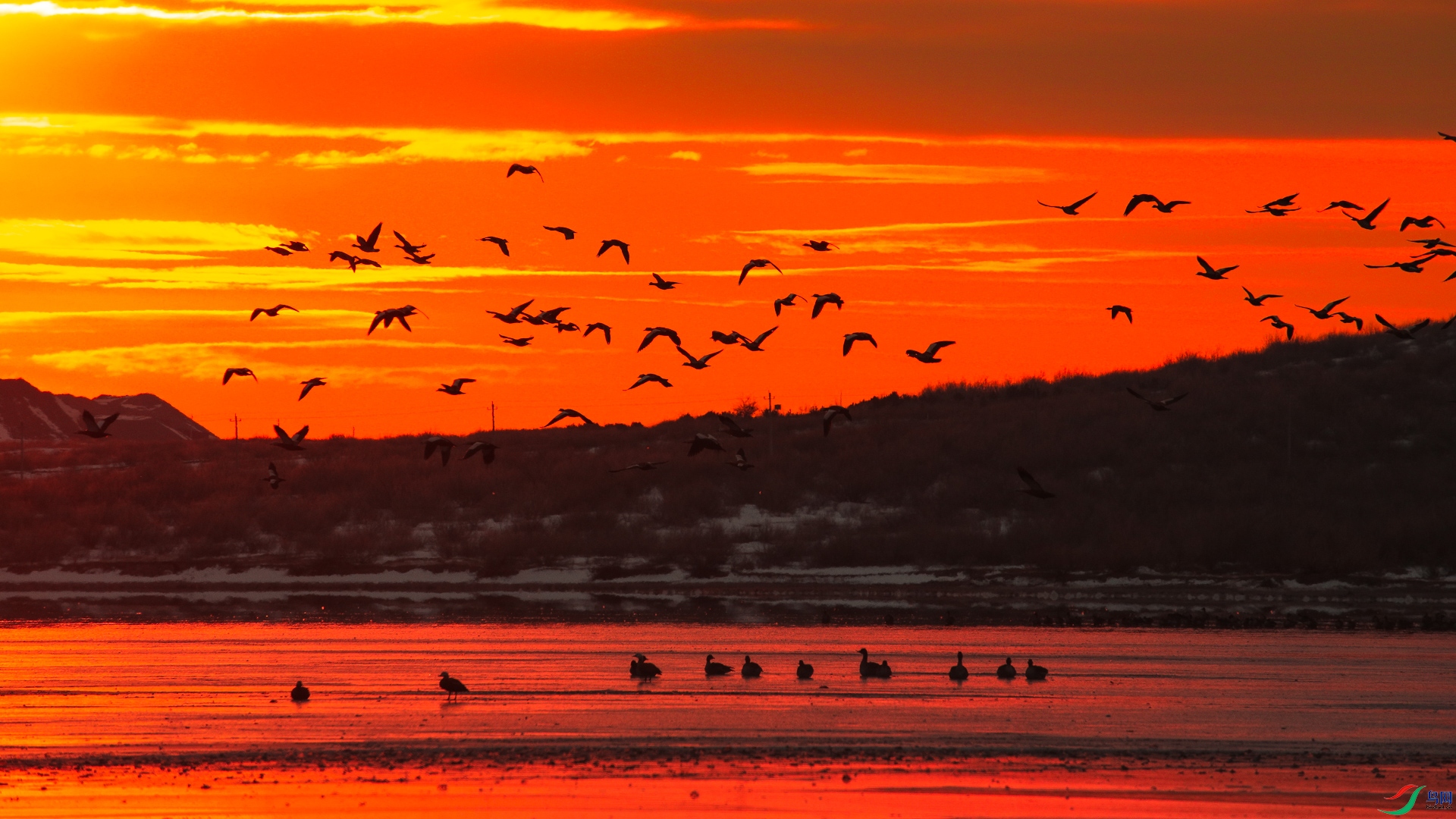 ����Ծ�� ��Ӱ��赣�һ��