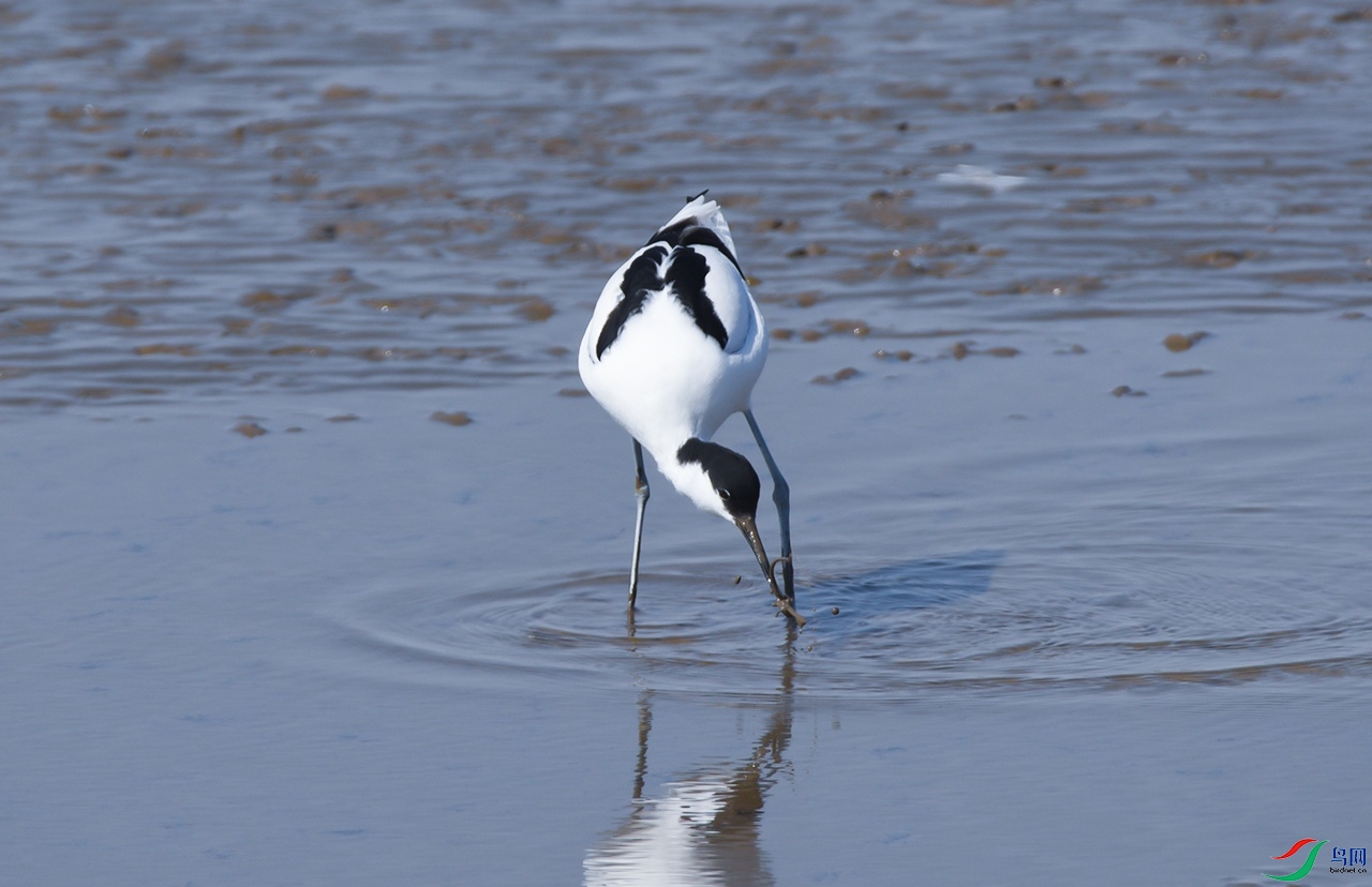 DSC_5415f_��ͼ��.jpg