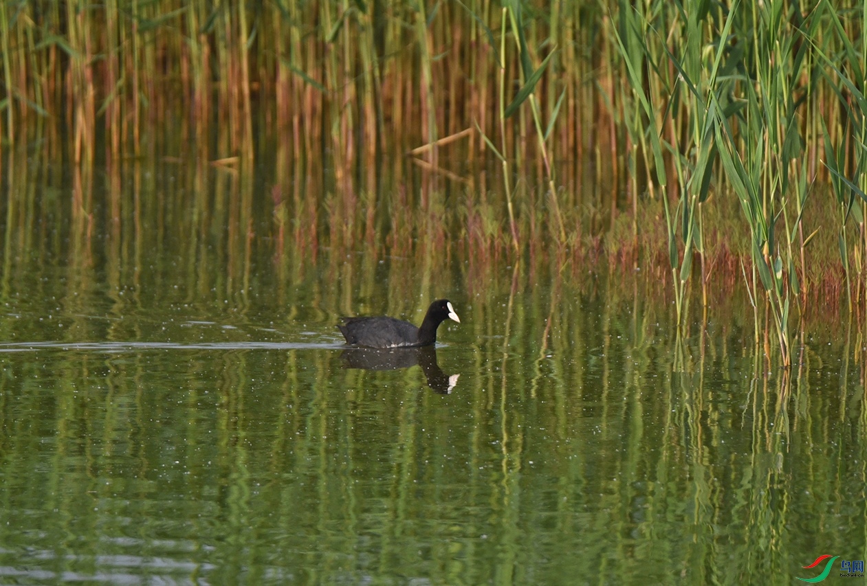 DSC_2369f_��ͼ��.jpg