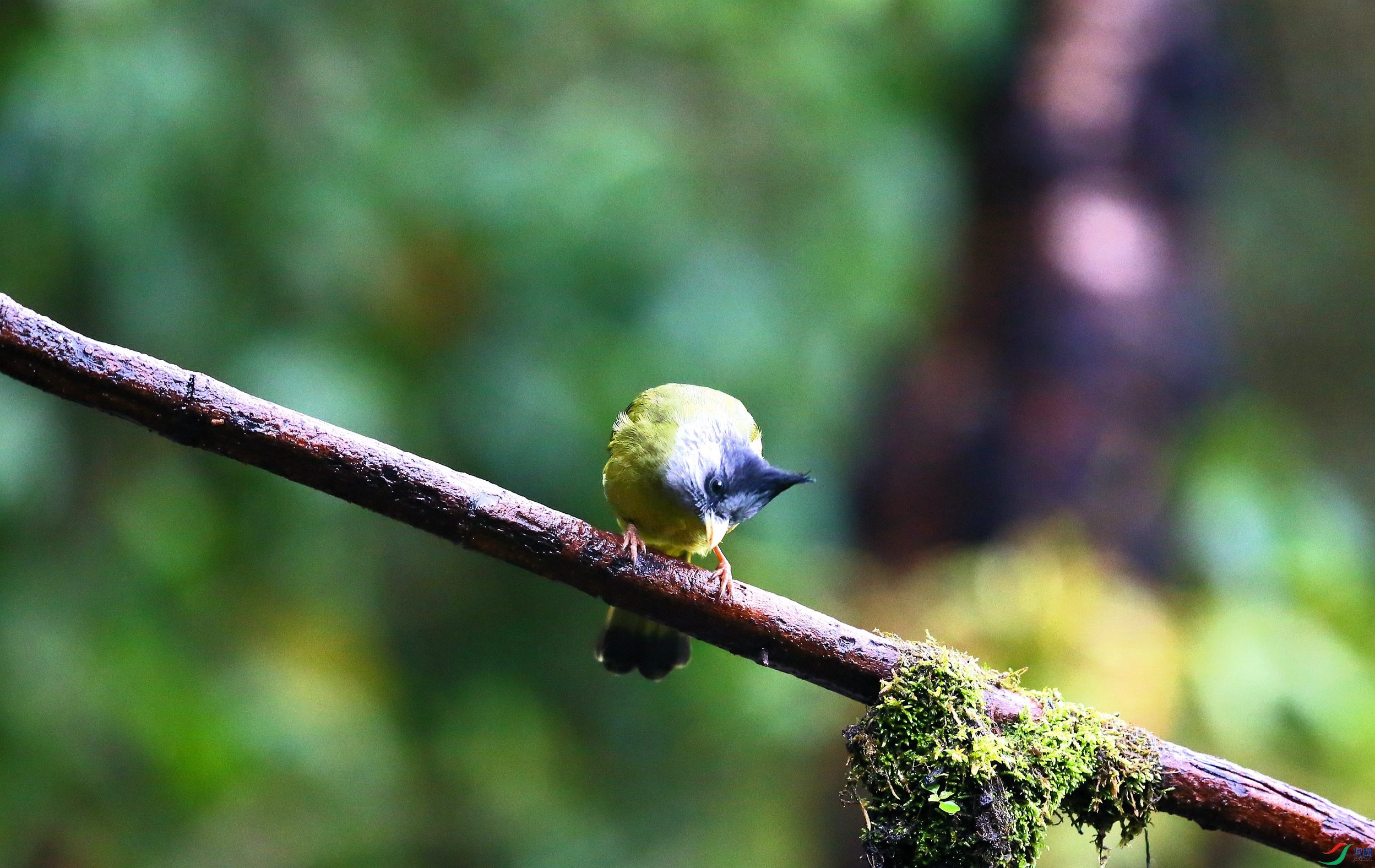 ��ͷȸ���� (1).JPG