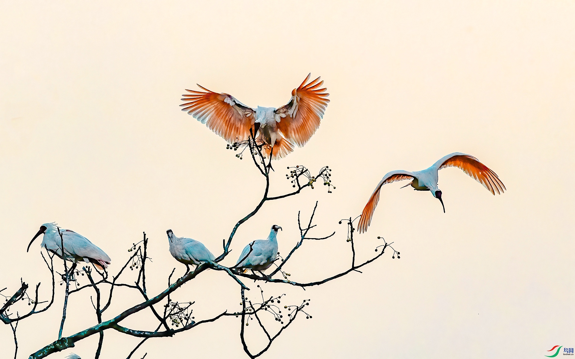 DSC_4309 ����_����.jpg