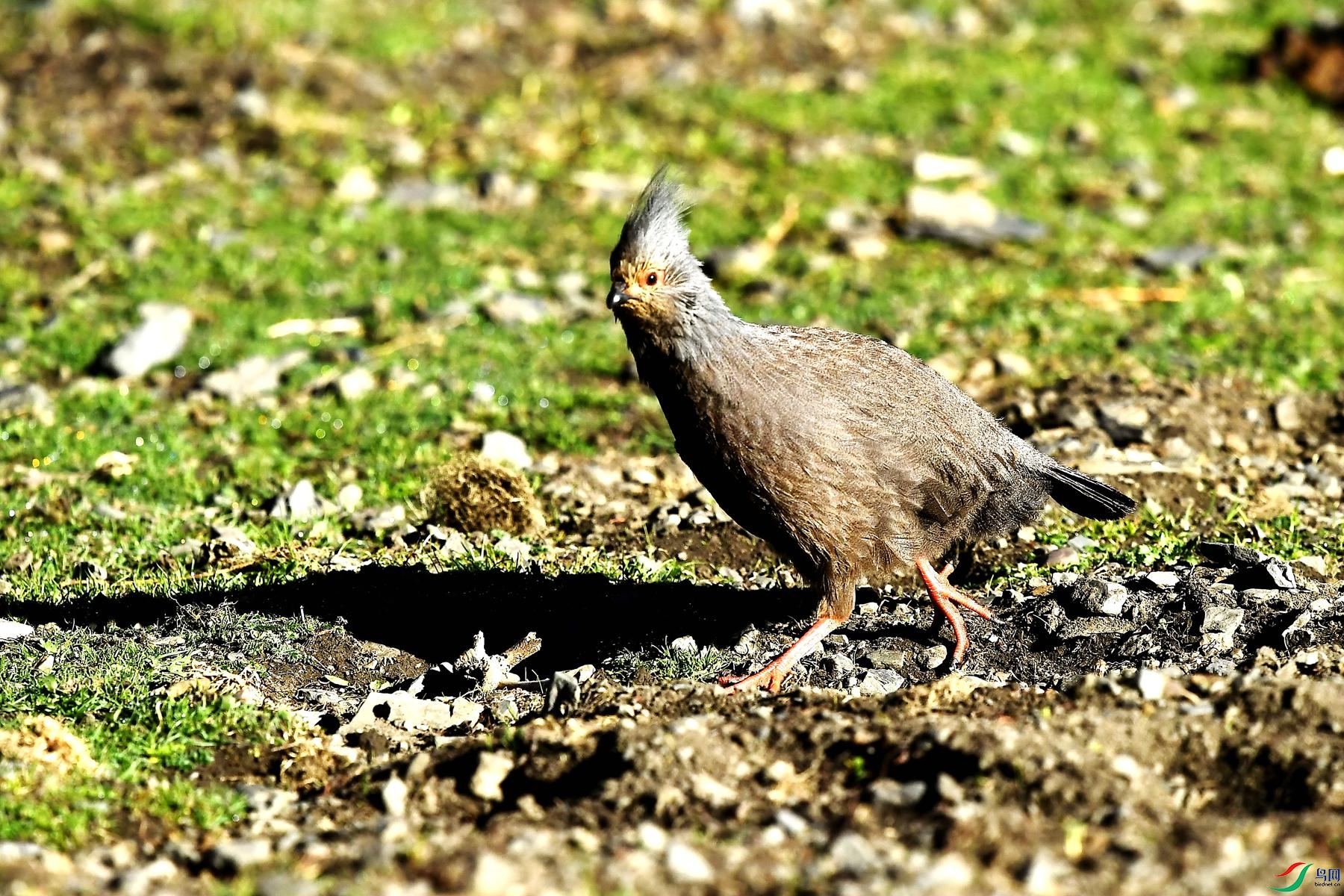 DSC_1337_����.jpg