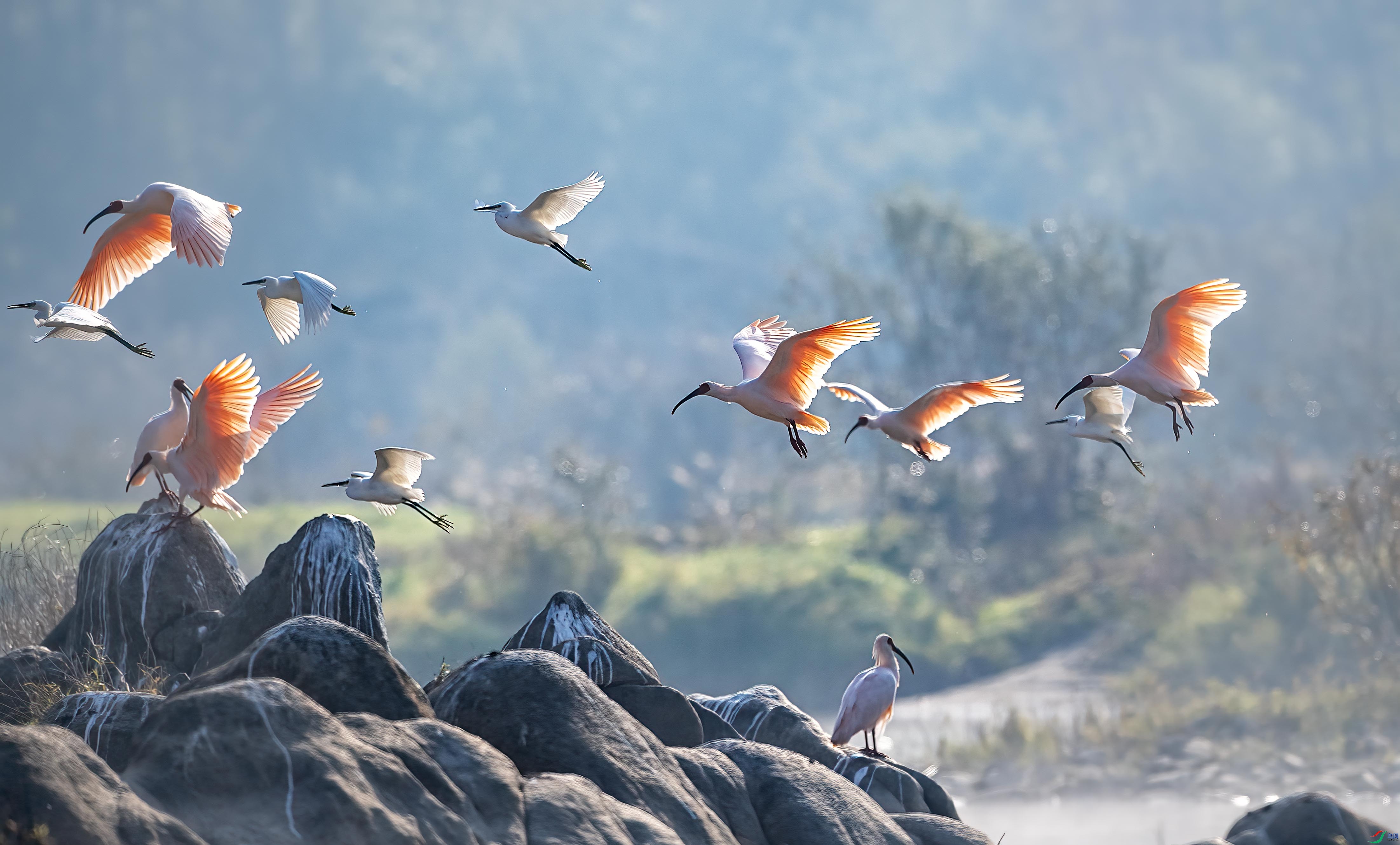 DSC_8932 ����.jpg