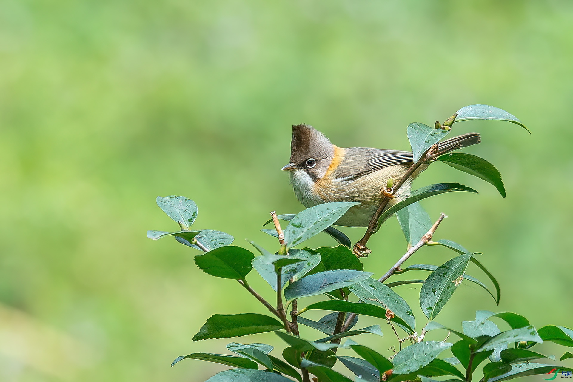 DSC_5002.jpg