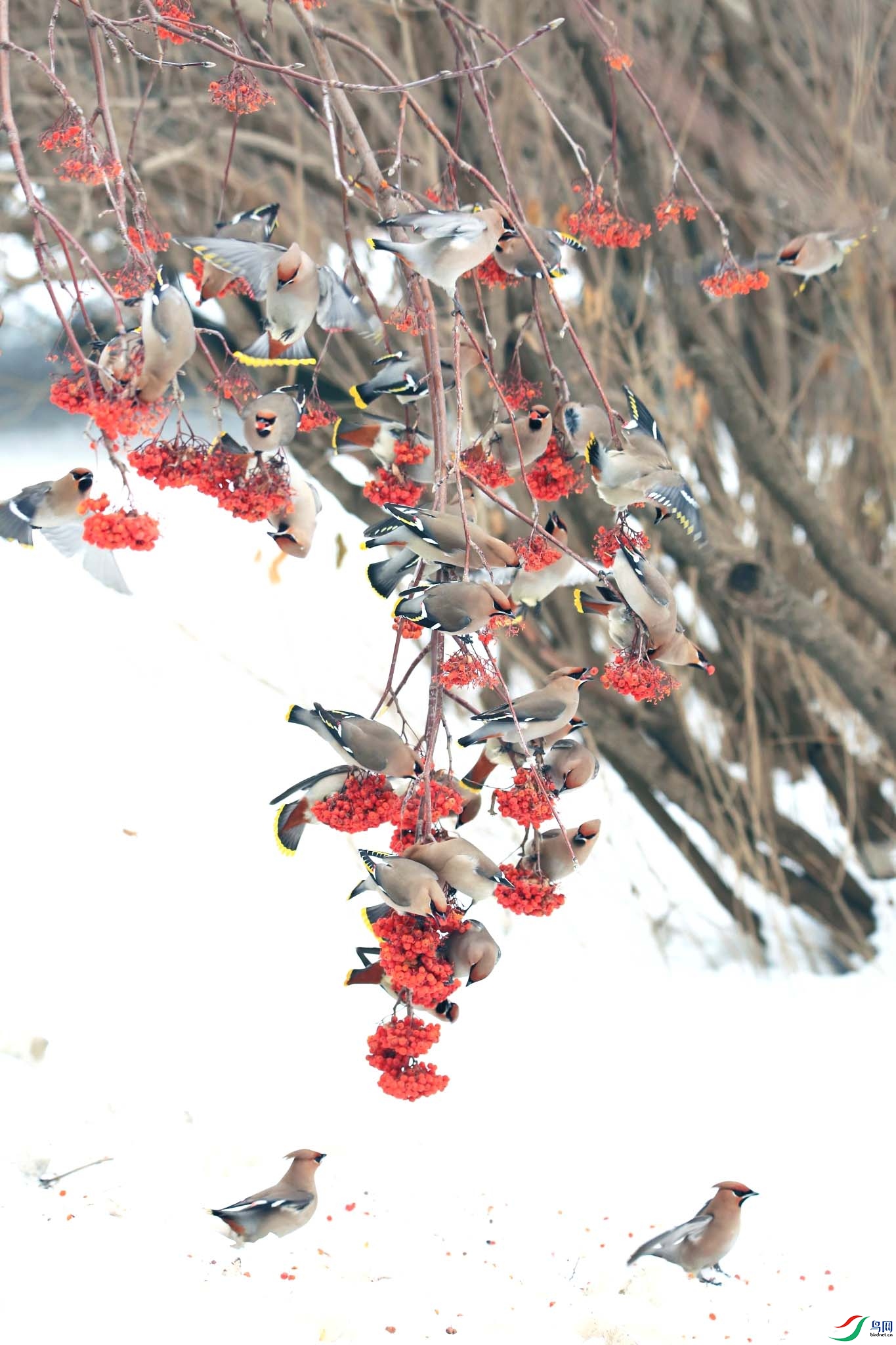 ���涷�ޣ�ǧ�˰�̬