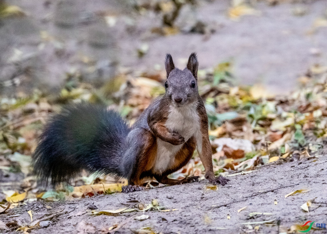 DSC_9481.jpg
