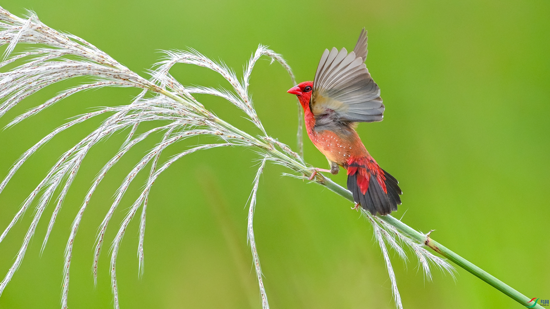 1011 ����.jpg