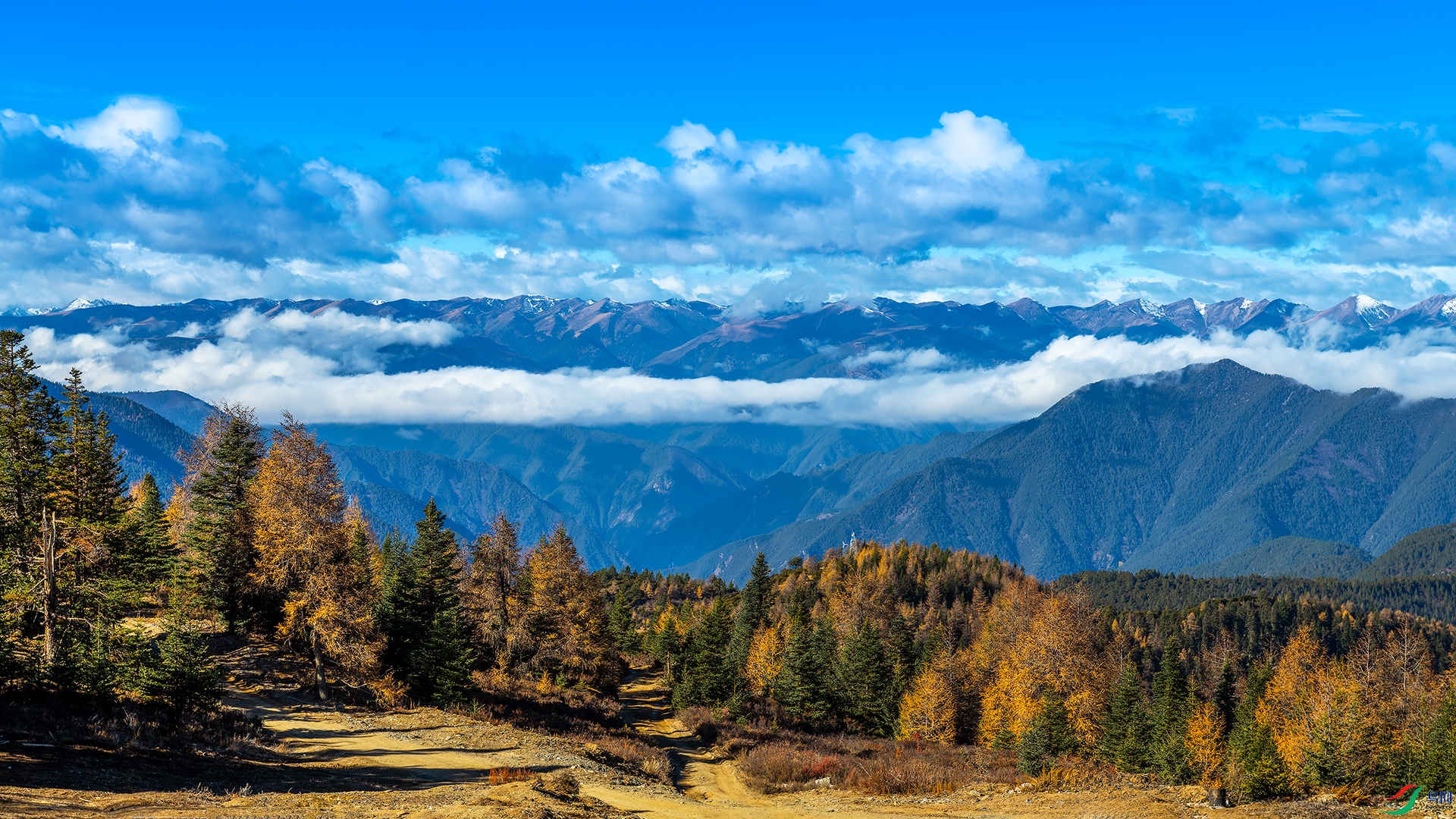 0_DSC0387-NEF_DxO_DeepPRIME.jpg