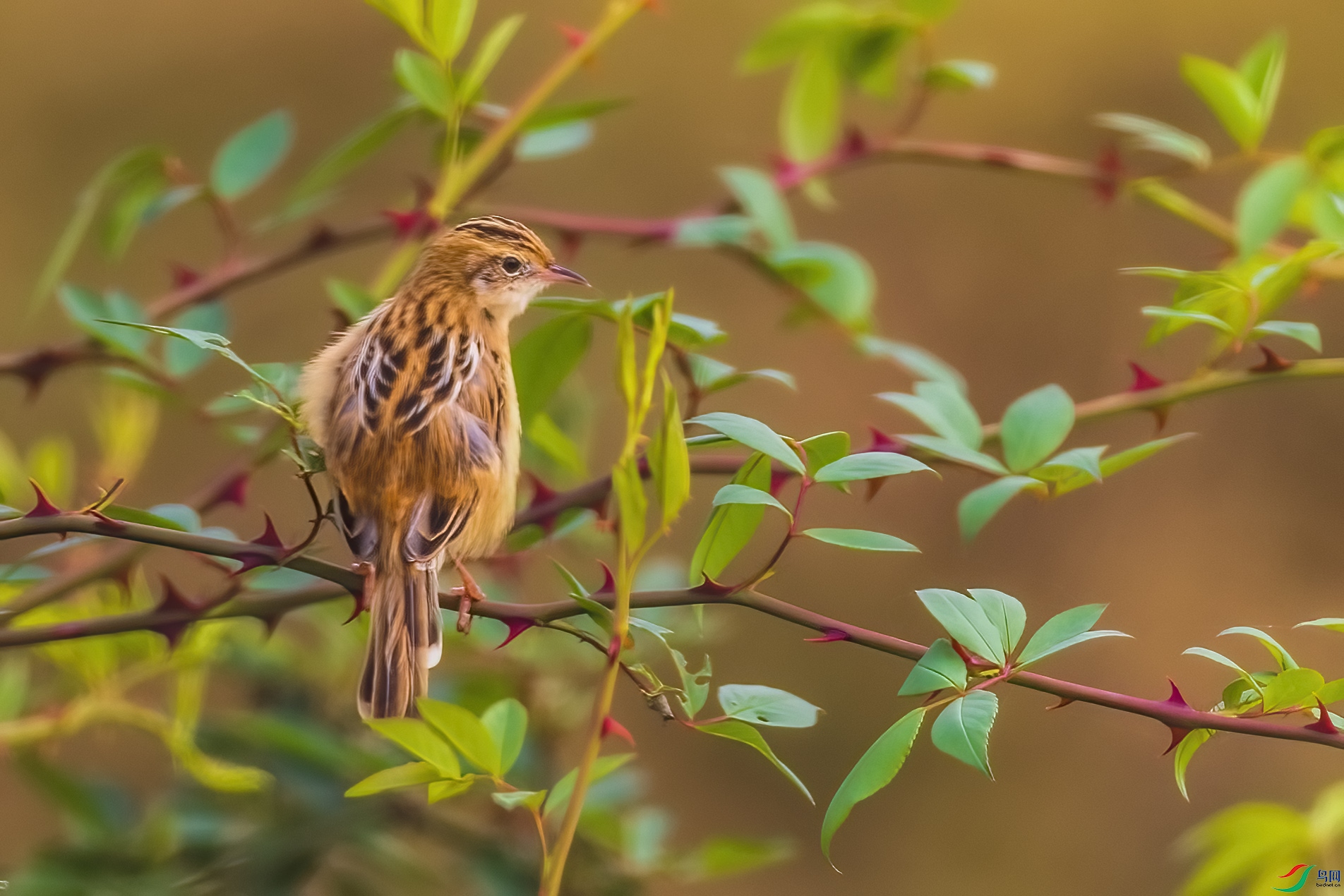 0M3A6255 ����.jpg